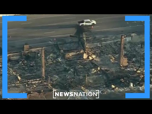 Gov. Newsom signs executive order to expedite Los Angeles rebuild | NewsNation Live