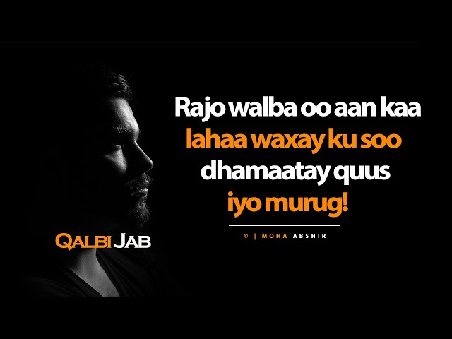 Erayo Qalbi jab ah ⁴ᴷ┇Rajo walba oo aan kaa lahaa waxay ku dhamaatay..┇ Part (1)​