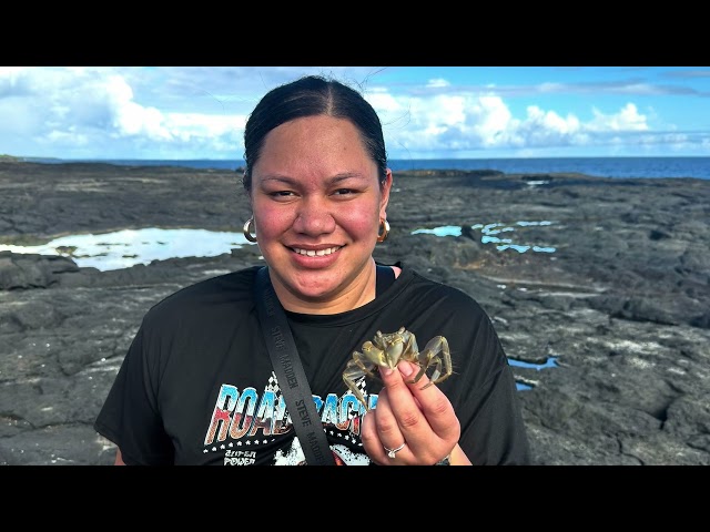 Umu Pua’a size 2🐖@Saleapaga. and our trip to Savai’i to visit family and got to see the blowholes🇼🇸🌴