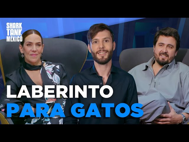 Un laberinto para gatos en el que los tiburones quieren jugar | Temporada 9 | Shark Tank México