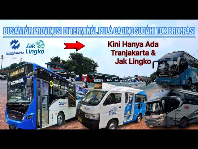 Info Terminal Pulau Gadung Sudah Tidak Melayani Bus Antar Porovinsi