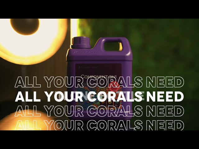 Simplify Coral Care with THIS Game-Changer!