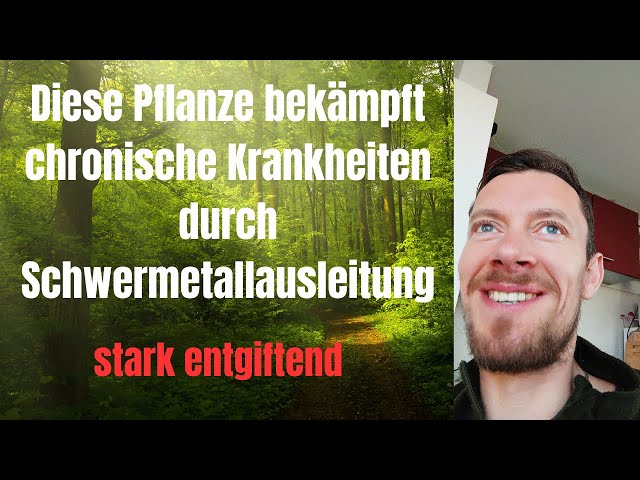 LÖWENZAHN deine NATURAPOTHEKE GEGEN Chronische KRANKHEITEN+ Detox Smoothie Kostenlos Gesund sein:)