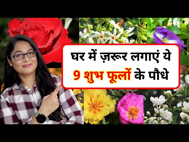 🔴BEST 9 PERMANENT PHOOLON KE PAUDHE HAR GHAR MEIN ZARUR HONE CHAHIE/फूलों के पौधे #flowers #plants