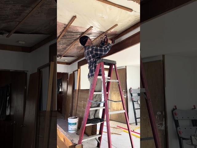 Atrocious ceiling demo inside the Yellow Single Wide Mobile Home-January 2025.