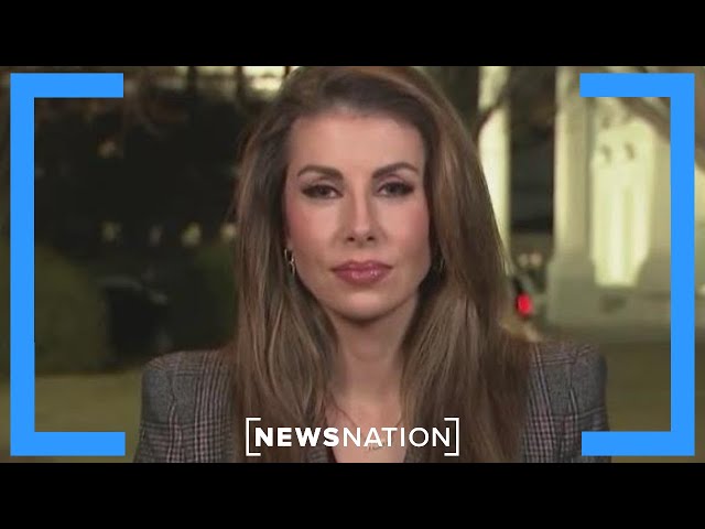 Trump-Netanyahu meeting will focus on hostages, ceasefire: Morgan Ortagus | The Hill