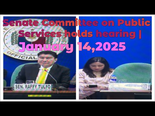 COMMITTEE ON PUBLIC SERVICES JOINT WITH COMMITTEE ON LOCAL GOVERNMENT