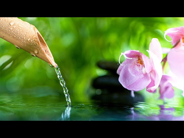 No Ads Relaxing Music For Sleeping ~Deep sleep music, Calming for sleep Stress relief, Meditation...