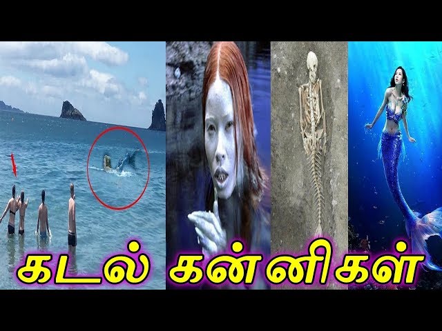 கடல் கன்னிகள் | Real Mermaid |Moyoko Vlogs