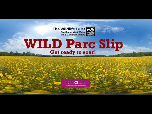 WILD Parc Slip. VR Experience / 360