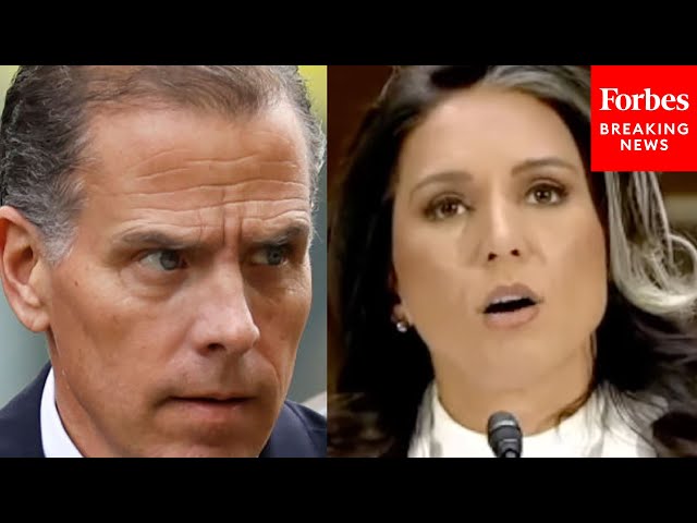 Tulsi Gabbard Asked: Will Intel Officers Behind Hunter Biden Laptop Letter Lose Security Clearance?