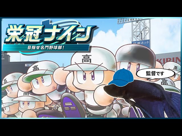 【335年目 │ 1449h〜】魚と目指す甲子園！-パワプロ2024 栄冠ナイン-【作業用BGM】