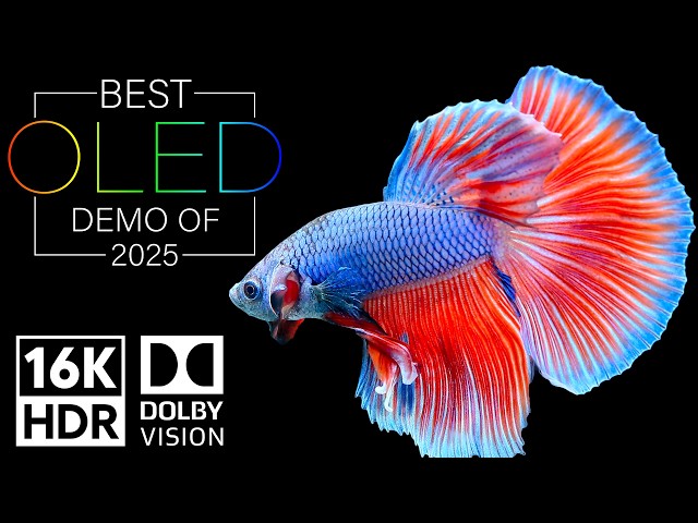 Dolby Vision 16K HDR 120fps EXPOSED - The Best OLED DEMO of 2025