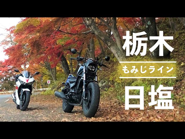 【同僚シリーズ】納車から3ヶ月。同僚ダリアンを連れて宇都宮餃子＆紅葉狩りツーリング【栃木県】