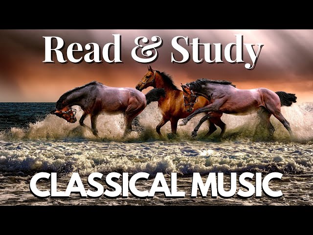 Beautiful Classical Music for reading and studying 🎼  🎹  🎼