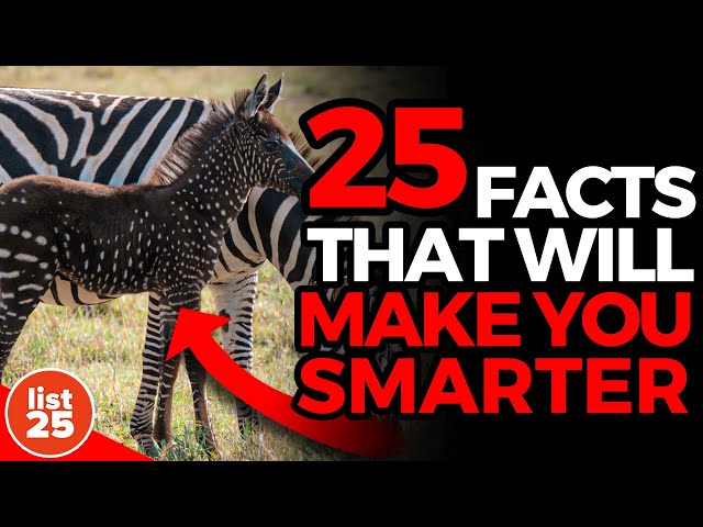 25 Facts That Will Make You Feel Instantly Smarter