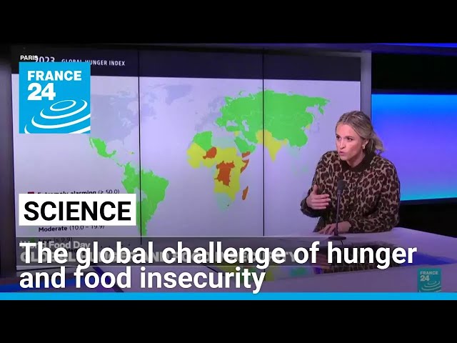 World Food Day 2024: The global challenge of hunger and food insecurity • FRANCE 24 English