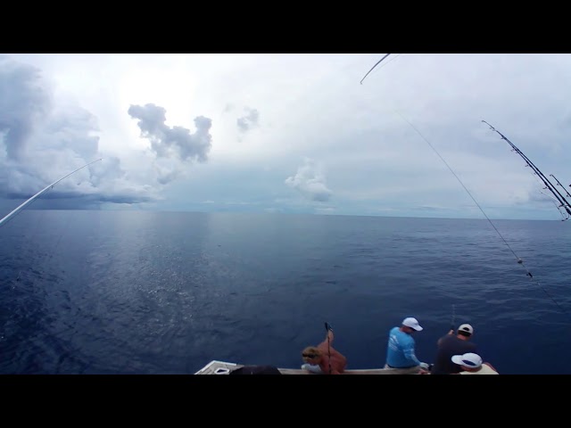 2018.03.21 Fiji Tuna Fishing 360 4k