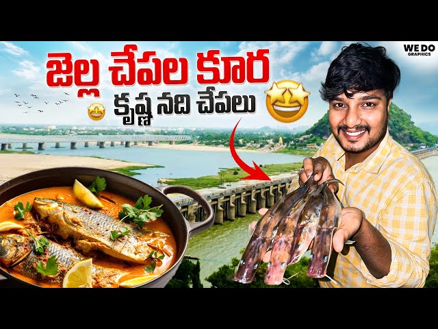 కృష్ణనదిలో పట్టిన జెల్ల చేపల కూర 😋Jella Fish Curry