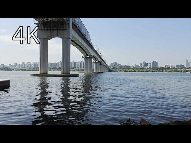 Seoul Mangwon Hangang Park Walk  - 4K Walking Tour