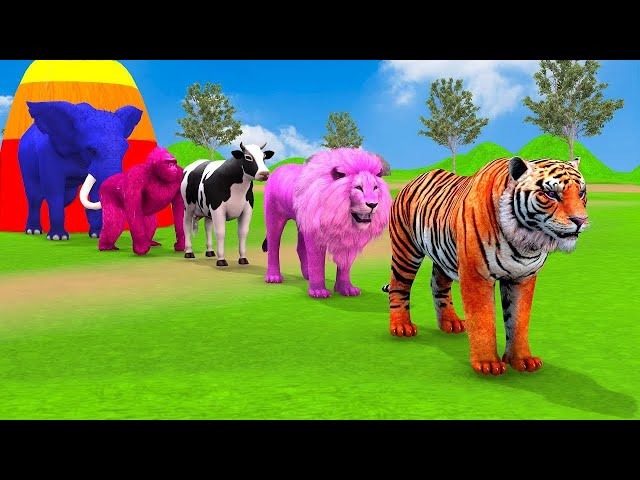 Long Slide Game With Elephant Gorilla Hippopotamus Tiger - 3d Animal Game - Funny 3d Animals