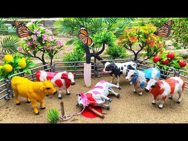 Proses Potong Sapi Qurban Moo !! Wadidaw Proses Cow Cartoon