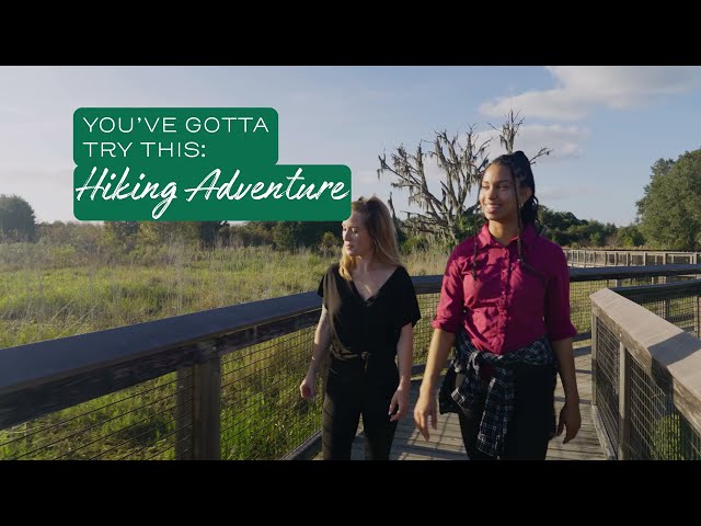 You've Gotta Try This: Hiking in Paynes Prairie Preserve State Park