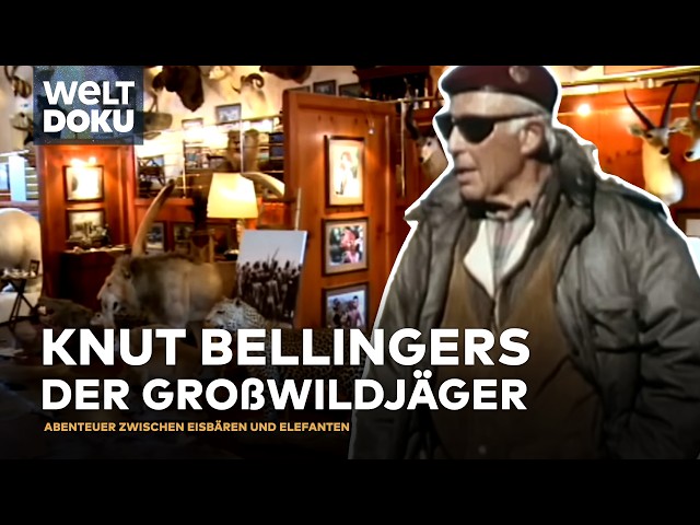 DER GROSSWILDJÄGER: Die Geschichte des Dr. Knut Bellinger - Gefährliche Expeditionen & Trophäen re