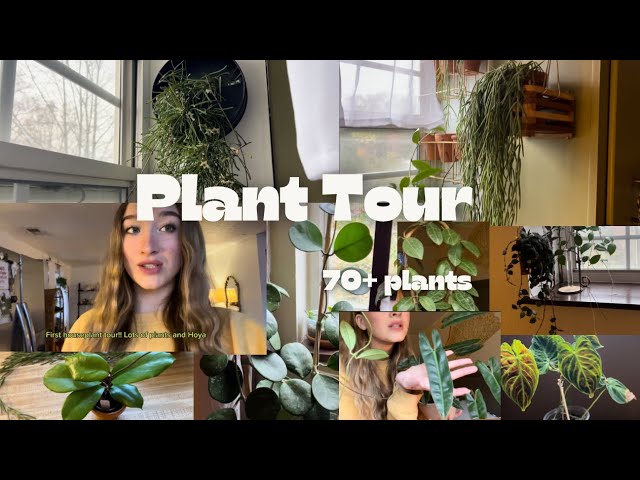 My First Houseplant Tour🌿| 70+ Houseplants | 🌱