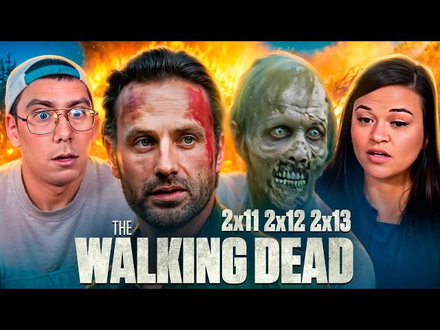 You Won't Believe the TWD Season 2 Finale Twist! *The Walking Dead* First Time Watching 2x11-2x13!