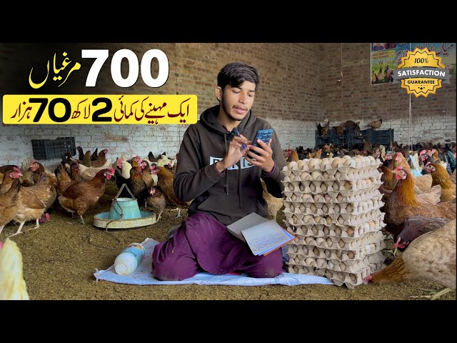 270,000 Earn From 700 Desi Chicken In Pakistan| Desi Poultry Farming | Start Poultry Business Plan