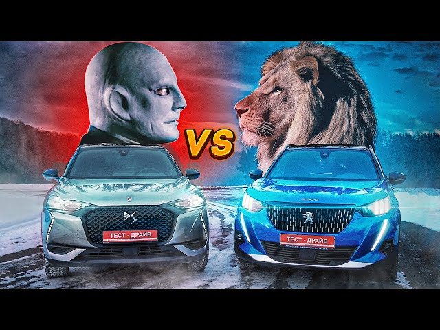 Львенок против Фантомаса. Peugeot 2008 VS DS3 Crossback 2020