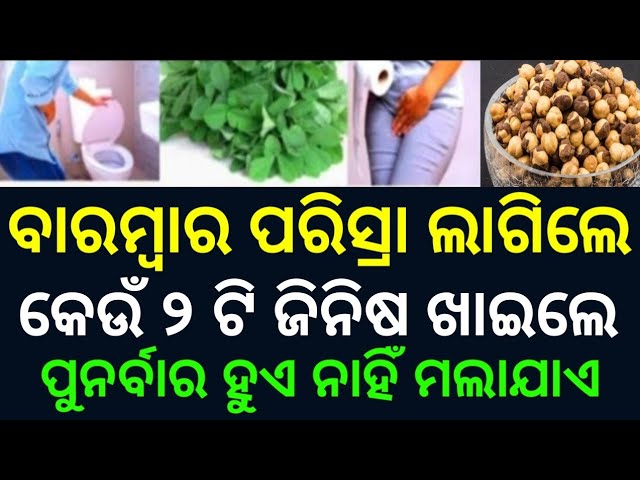 Odia Gk Question And Answers | General Knowledge Odia | Odia Gk Quiz | Gk In Odia | Gk Question