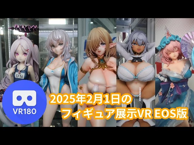 【VR180 3D】2025/2/1の秋葉原新作フィギュア展示VR(EOS VR)