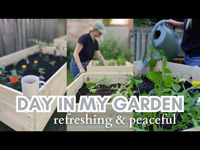 First Time Gardening VLOG | planting vegetables, herbs, and flowers in our backyard garden 🌻🫑