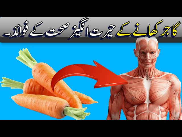 Gajar Khane Ke Fayde | BENEFITS OF CARROTS - 17 Amazing Health Benefits of Carrots | Brilliant Facts