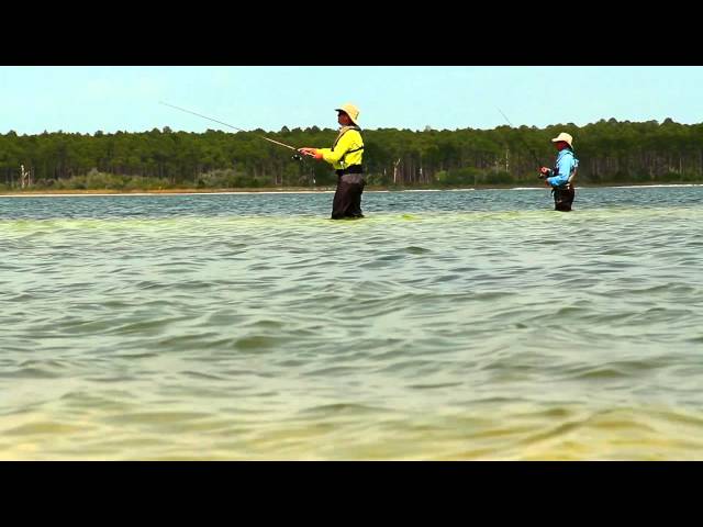 Tips for Trout Fishing in PCB