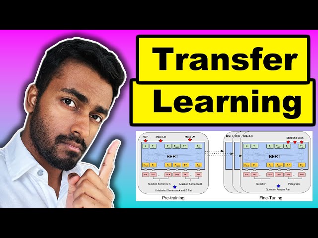 Transfer Learning - EXPLAINED!