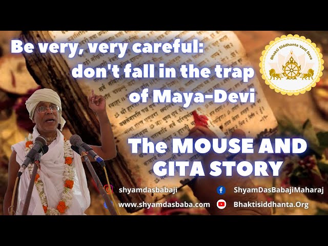 Be very, very careful: don't fall in the trap of Maya-Devi. The Mouse and Gita Story.