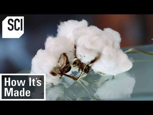 How Cotton is Processed in Factories | How It’s Made