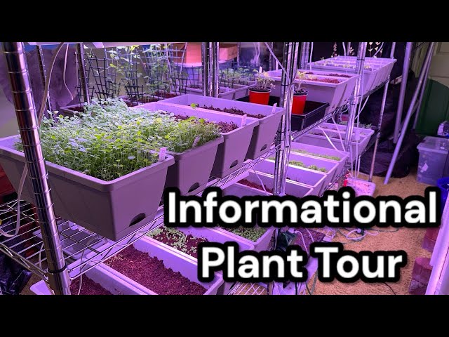 Informational Plant Tour