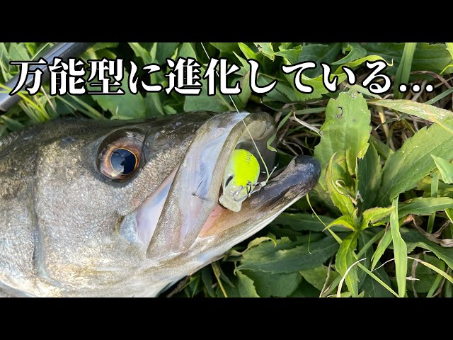 釣れるルアーの新しいやつ【バンク82S】