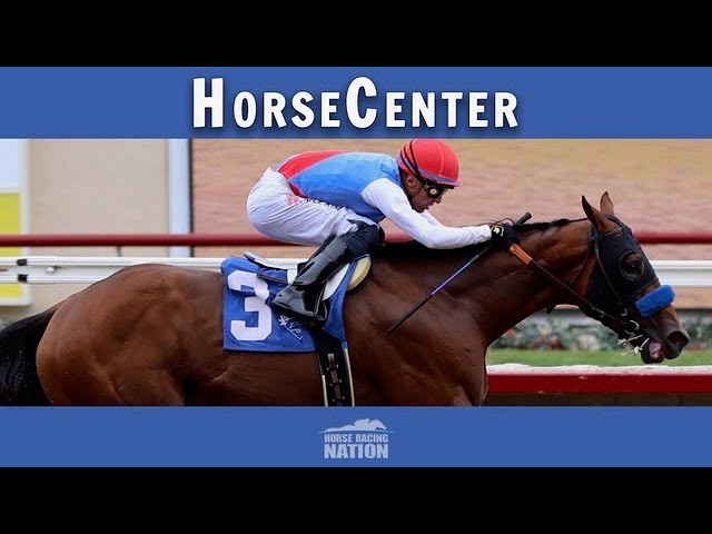 California Crown and Turf Classic top picks on HorseCenter