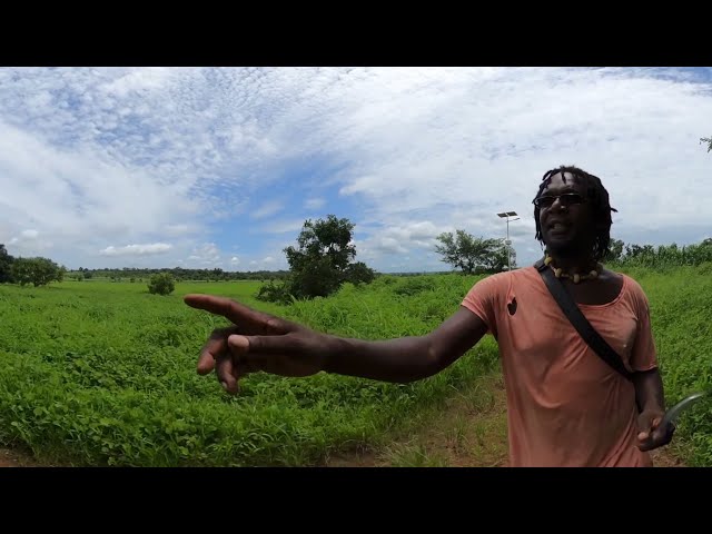 Farm Land In Guinea-Bissau 🇬🇼 Ep 181