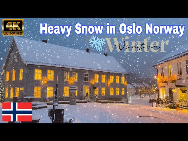 Heavy Snow❄️ Winter Fairytale | Oslo Norway Blizzard 4K , SnowFall for Sleep, Study, or Relaxation