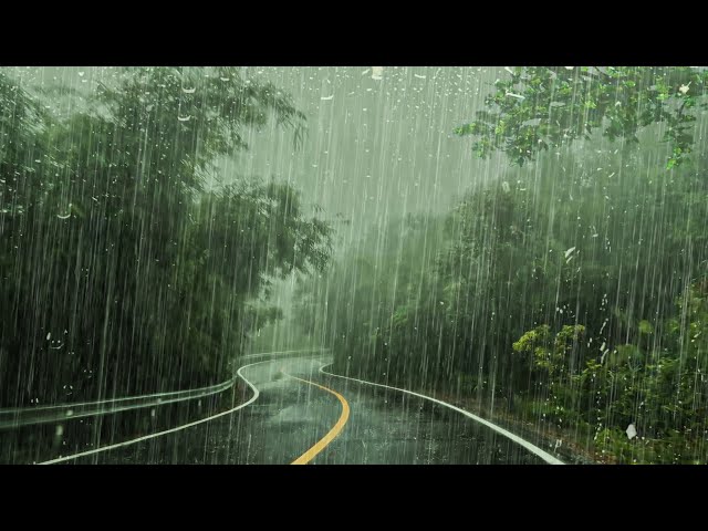 Sleep-inducing Rain Sound Is Created By Calm Rain -White Noise ASMR For Study, Relax & Reduce Stress