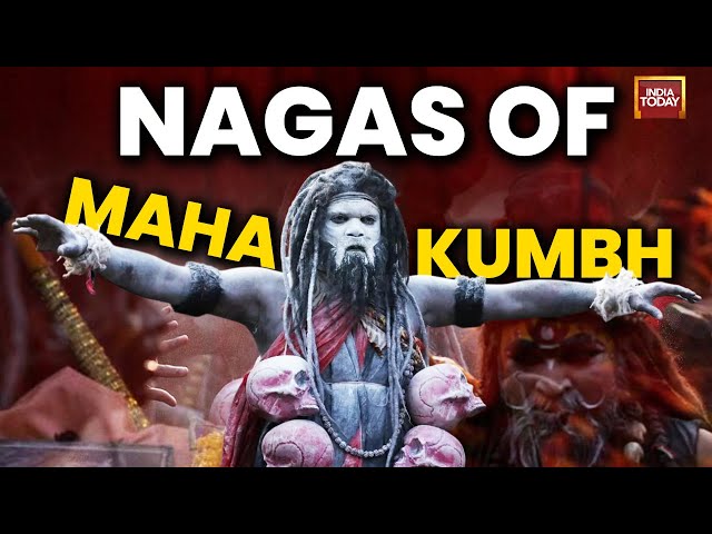 Understand All About Naga Saints Of Maha Kumbh | Amrit Snaan | Kumbh Mela 2025 | Prayagraj