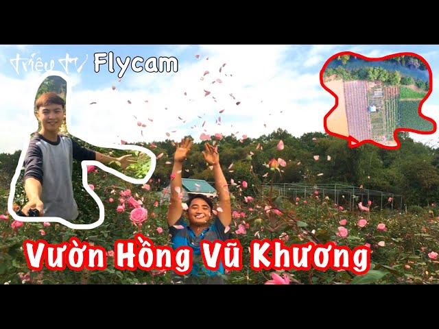 VƯỜN HỒNG YÊN THỦY - THAM QUAN VƯỜN HỒNG VŨ KHƯƠNG - TRIỆU TV