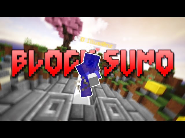 I hate block sumo