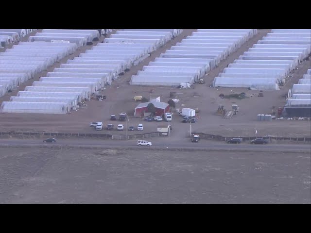 FBI investigates two marijuana-growing operations in Torrance County